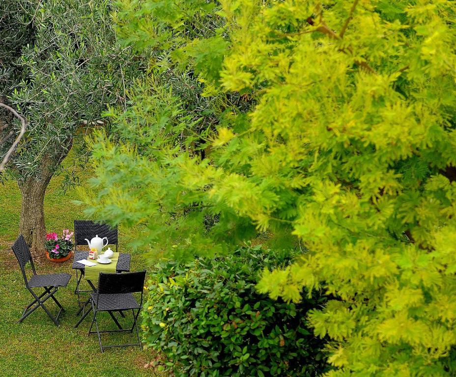 Il Giardino Del Te Hotel Barletta Exterior photo