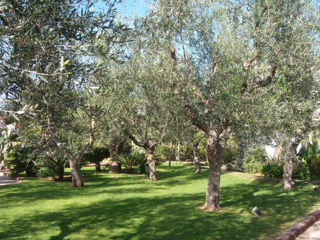 Il Giardino Del Te Hotel Barletta Exterior photo