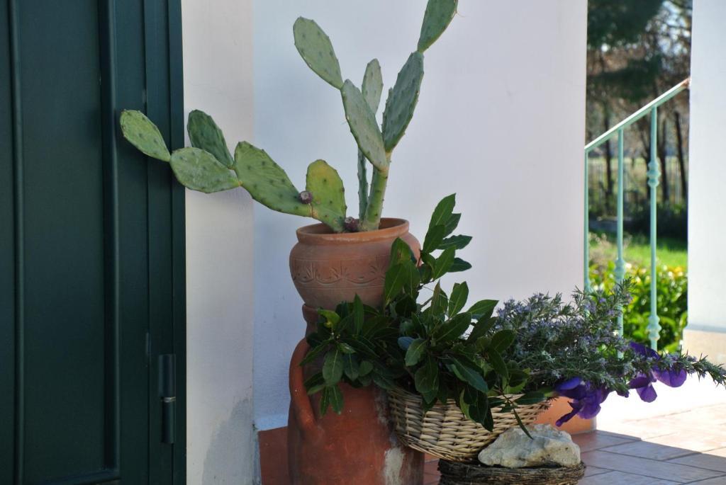 Il Giardino Del Te Hotel Barletta Room photo